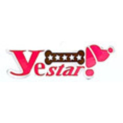 YeStar YS